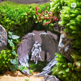 Terrarium Guardian of the Silent Green - Đa Giác Ngang - Decor Không Gian Sống