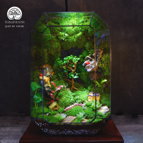 Terrarium Ruby Xứ Sở Thần Tiên bể đa giác cao cấp của Terrafulness, thiết kế rừng rêu và tiểu cảnh cổ tích với nhà nhỏ và nấm, phù hợp làm quà tặng doanh nghiệp sang trọng