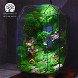 Terrarium