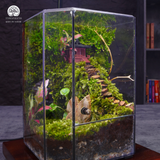 Terrarium