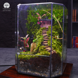 Terrarium