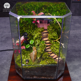 Terrarium