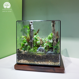 Terrarium Forest Cathedral