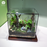 Terrarium Forest Cathedral