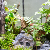 Terrarium Forest Cathedral