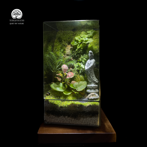 Terrarium Quan Âm Bình An Serene Blessing Terrafulness trang trí Zen