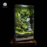 Terrarium Quan Âm Bình An Serene Blessing Terrafulness trang trí Zen