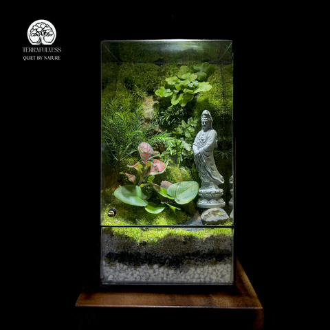 Terrarium Quan Âm Bình An Serene Blessing Terrafulness trang trí Zen