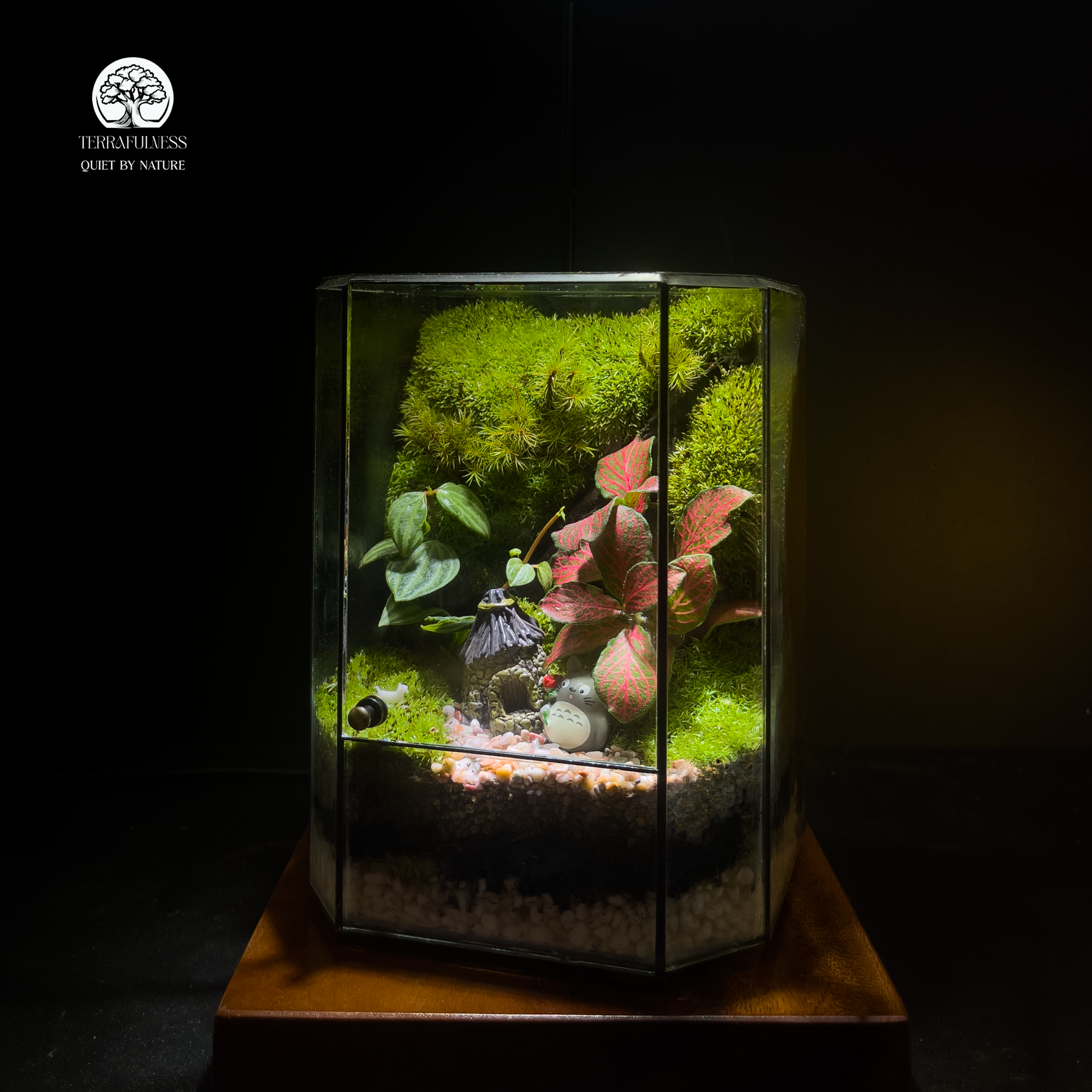 Terrarium Little Forest - Bể Đa Giác Khu Rừng Nhỏ Của Totoro – Sản Xuất ...