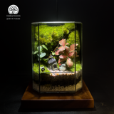 Terrarium Totoro Little Forest Terrafulness tiểu cảnh rừng mini dễ thương
