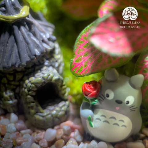 Terrarium Totoro Little Forest Terrafulness tiểu cảnh rừng mini dễ thương