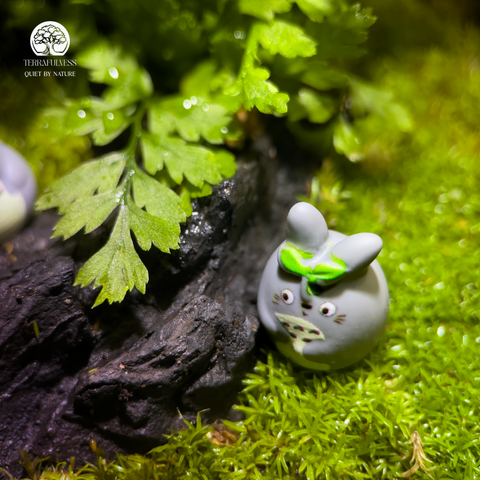 Green Harmony Terrarium Giai Điệu Xanh Totoro Terrafulness rừng ẩm Fittonia đỏ