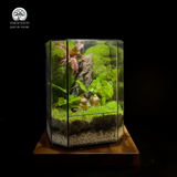 The Calm Duo Terrarium Cặp Đôi Capybara Terrafulness quà tặng an nhiên