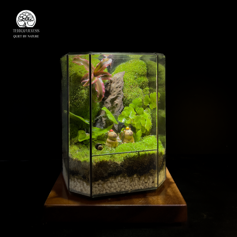 The Calm Duo Terrarium Cặp Đôi Capybara Terrafulness quà tặng an nhiên