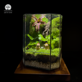 The Calm Duo Terrarium Cặp Đôi Capybara Terrafulness quà tặng an nhiên