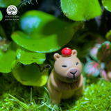 The Calm Duo Terrarium Cặp Đôi Capybara Terrafulness quà tặng an nhiên