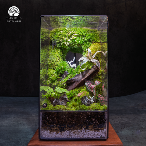 Terrarium Bạch Lộc Ẩn Lâm - Bể Đa Giác - Decor Phòng Ngủ