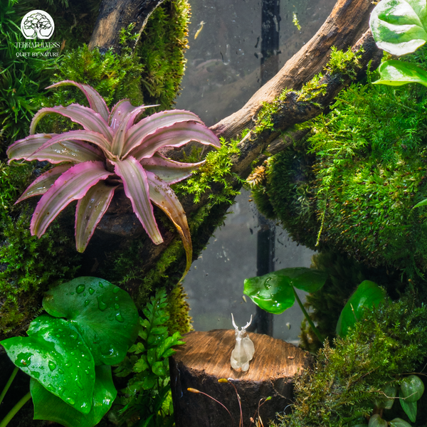 qua-tet-xanh-doanh-nghiep-terrafulness