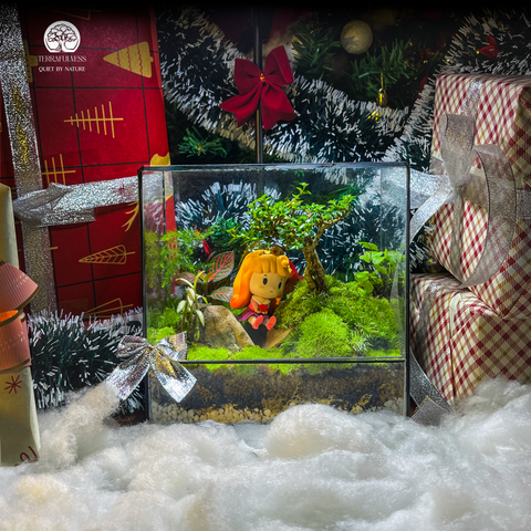 Terrarium Little Princess - Bể Hở Tròn - Decor Bàn Làm Việc Dễ Thương