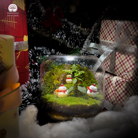 Terrarium Snowmen - Bể Tròn Hở - Decor Bàn Làm Việc Mùa Giáng Sinh Ấm Áp