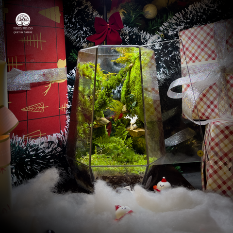 Terrarium Trạm - Bể Đa Giác Kín - Góc Nghỉ Chân Nhỏ Trong Khu Rừng Thu Nhỏ