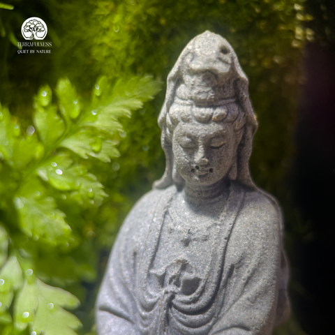 Terrarium Quan Âm Bình An Serene Blessing Terrafulness trang trí Zen