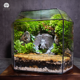 Terrarium