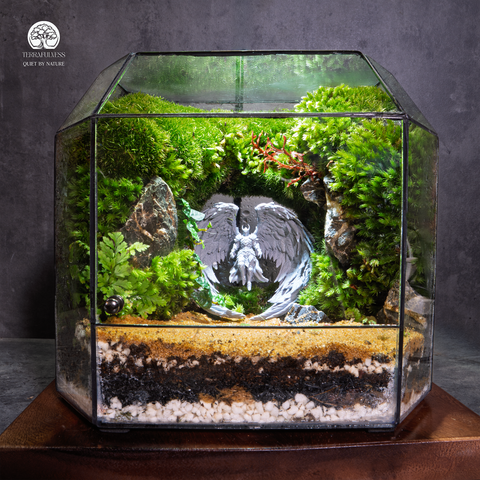 Terrarium Guardian of the Silent Green - Đa Giác Ngang - Decor Không Gian Sống