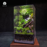 Terrarium Bạch Lộc Ẩn Lâm - Bể Đa Giác - Decor Phòng Ngủ