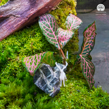 Terrarium Bạch Lộc Ẩn Lâm - Bể Đa Giác - Decor Phòng Ngủ