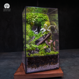 Terrarium Bạch Lộc Ẩn Lâm - Bể Đa Giác - Decor Phòng Ngủ