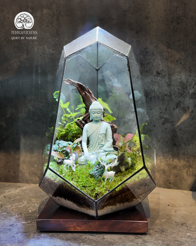 Terrarium Tĩnh Tâm Sơn Cảnh - Tượng Phật An Yên