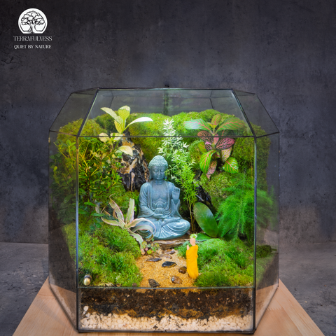 Zen Terrarium Tịch Lâm | Bể Đa Giác - Trang Trí Cho Không Gian Thiền