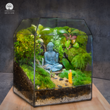 Zen Terrarium Tịch Lâm | Bể Đa Giác - Trang Trí Cho Không Gian Thiền
