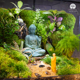 Zen Terrarium Tịch Lâm | Bể Đa Giác - Trang Trí Cho Không Gian Thiền