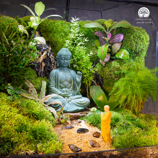 mau-terrarium-tang-sep-va-doi-tac-sang-trong-tet-2026