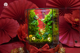 Terrarium Tết