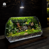 Terrarium