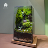Terrarium Serene Valley - Bể Chữ Nhật Đứng - Decor Góc Làm Việc Sang Trọng