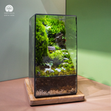 Terrarium