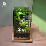 Terrarium