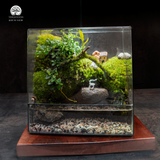 Terrarium