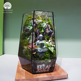 Terrarium Mộc Tĩnh An