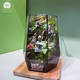 Terrarium Mộc Tĩnh An