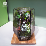 Terrarium Mộc Tĩnh An – Bể Đa Giác - Quà Tặng Độc Đáo Và An Yên