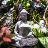 Terrarium Mộc Tĩnh An
