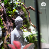 Terrarium Mộc Tĩnh An