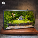 Terrarium