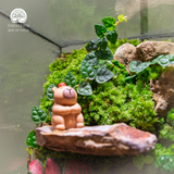 Terrarium