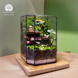 Terrarium